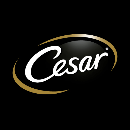 Cesar Logo