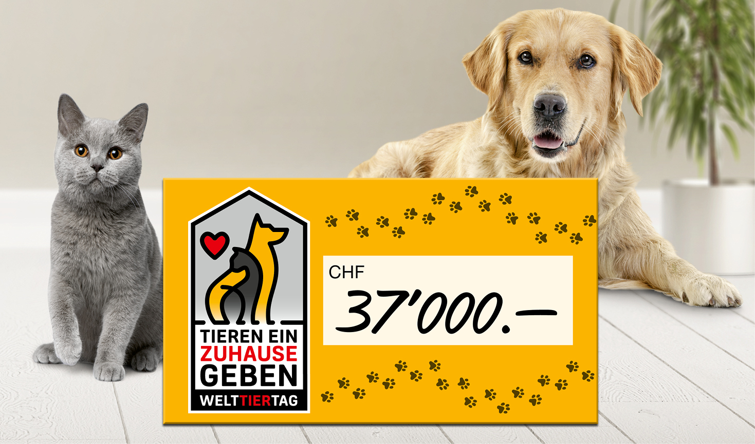 WAD_2023_Check_Webseite_705x415px