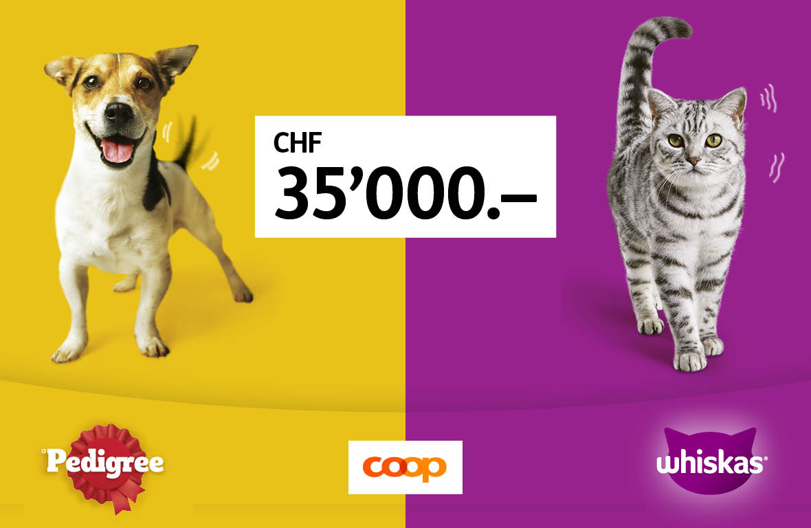 2024 Success DE revised